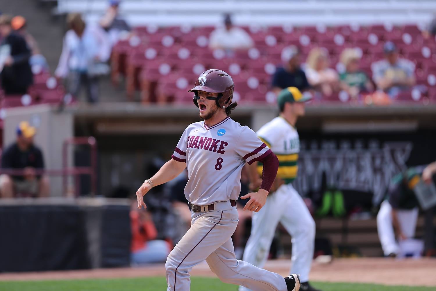 Sean Guida #8
