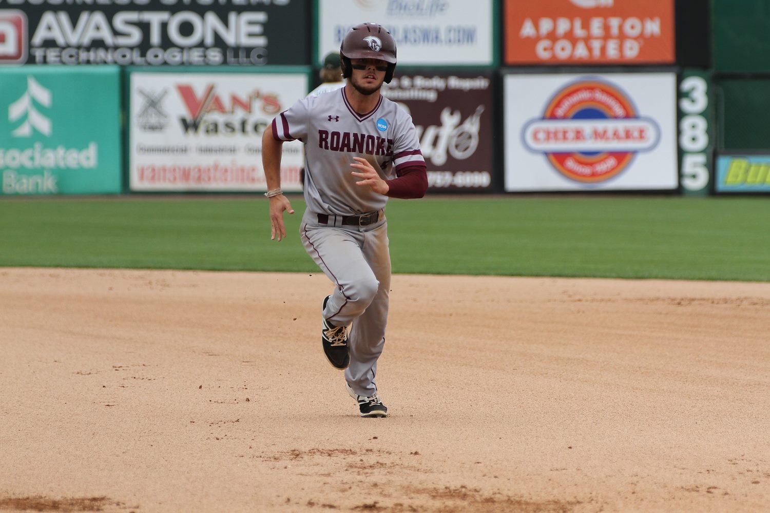 Sean Guida #8