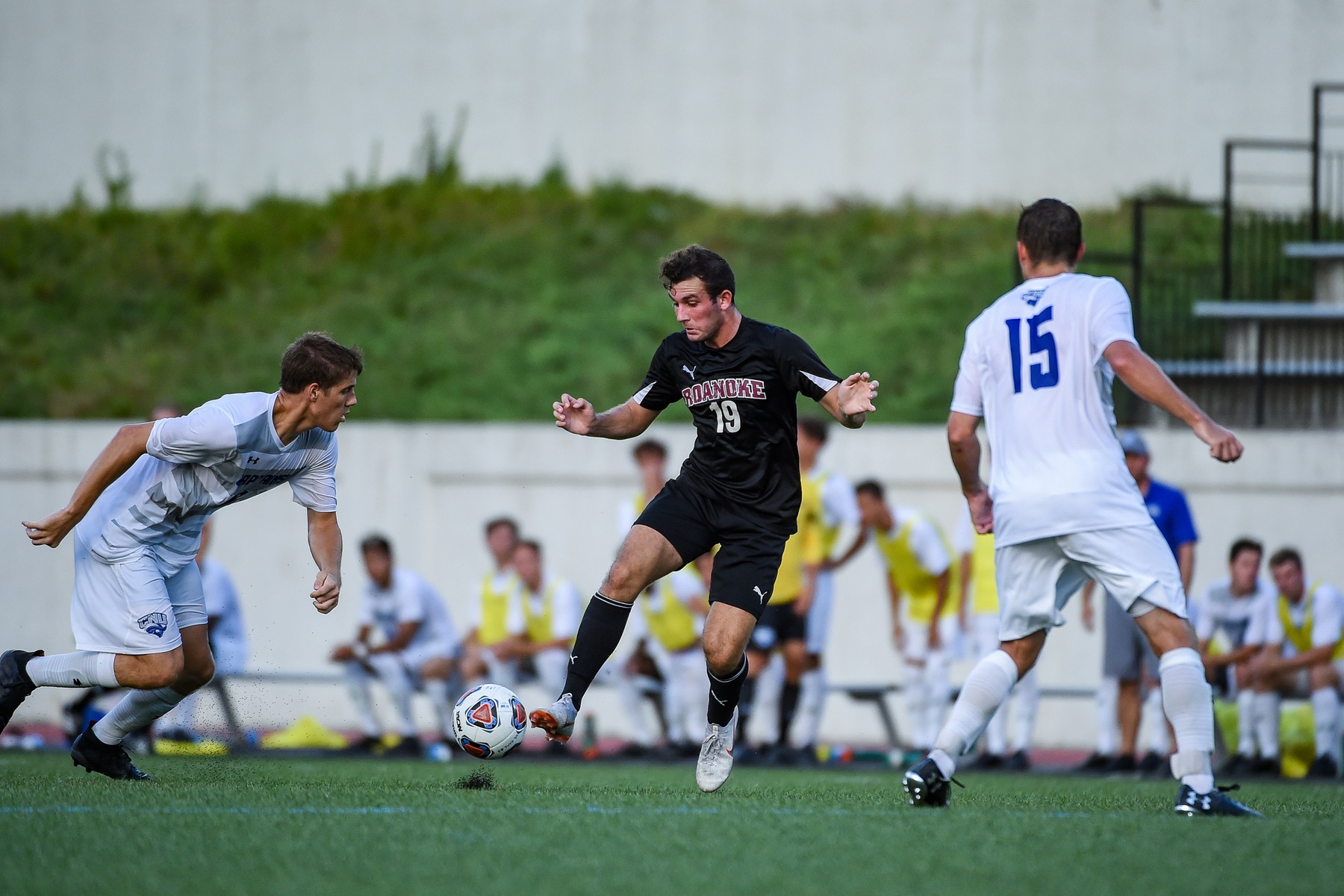 Liam Camilleri #19
