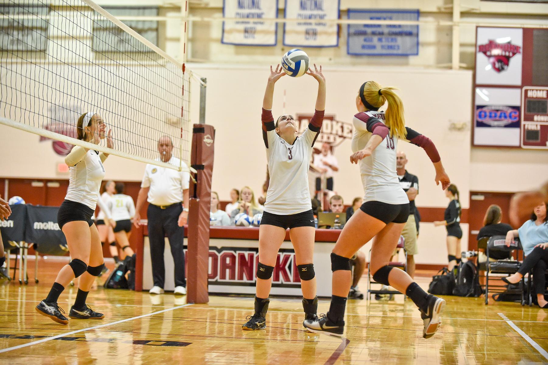 Roanoke Splits in Volleyball Doubleheader