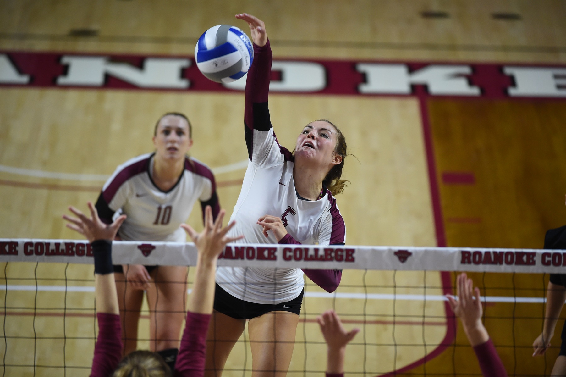 Linsey Bailey #5