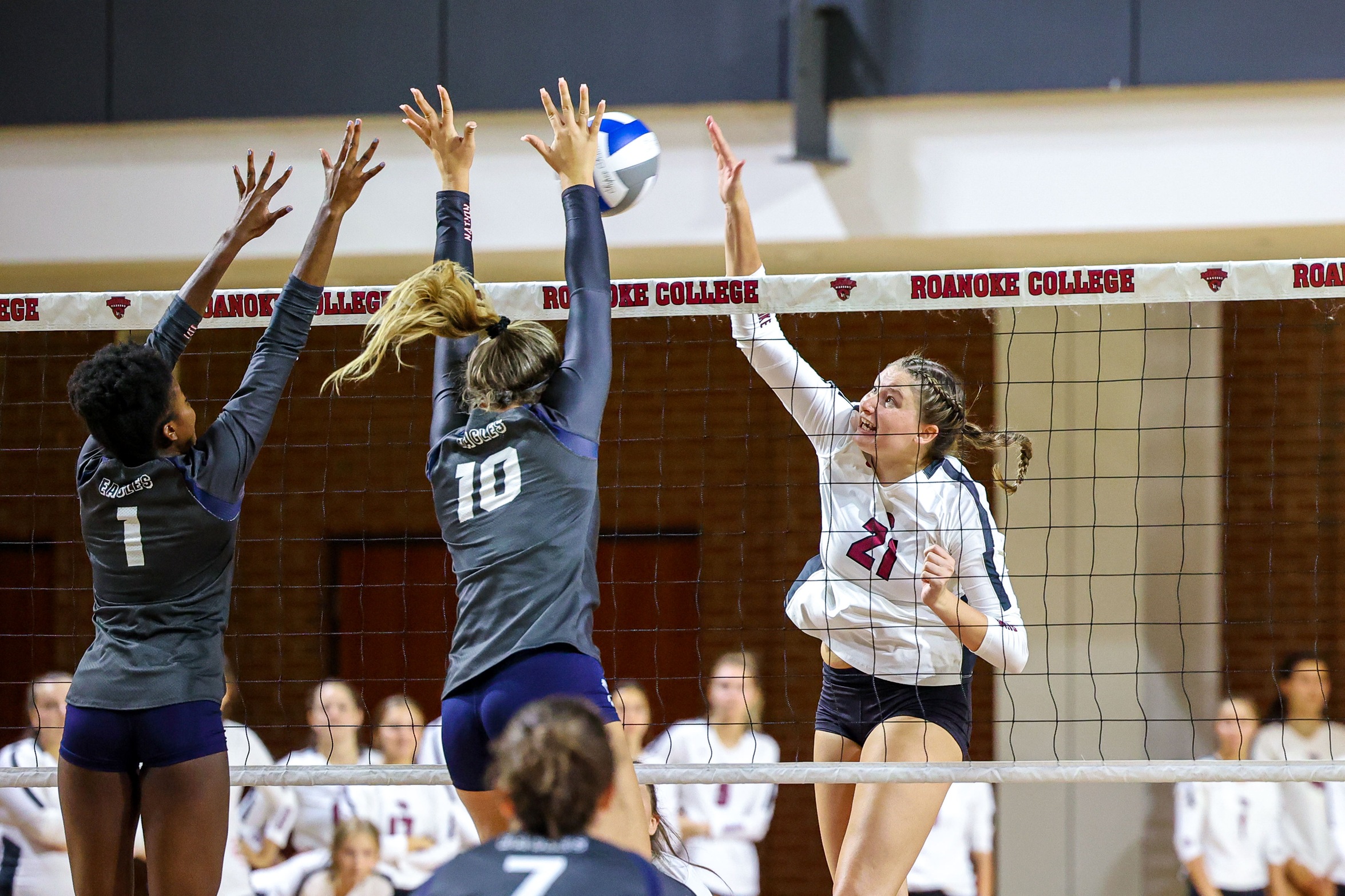 Roanoke Tames Panthers with 3-1 Win on the Road